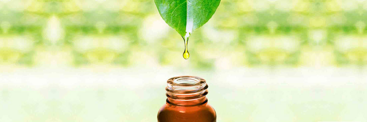 Çay Ağacı Yağının 14 Kullanım Alanı