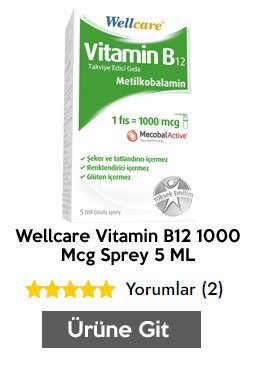 Wellcare Vitamin B12 1000 Mcg Sprey 5 ML
