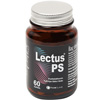 Lectus
