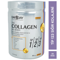 Day2Day The Collagen All Body Takviye Edici Gıda 300 Gr Kolajen Takviyesi - Day2day