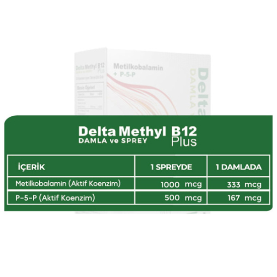 Delta Naturel Methyl B12 Plus Methylcobalamin Sprey 10 ml - 2