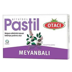 Otacı Meyanbalı Pastil 16 Adet - Otacı
