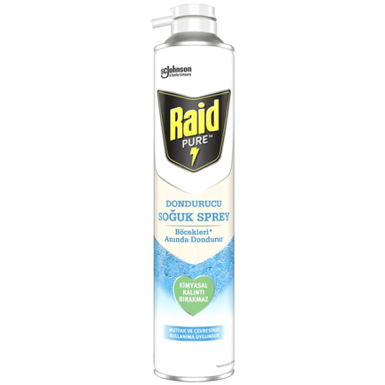 Raid Pure Böcek Dondurucu Sprey 350 ml - 1