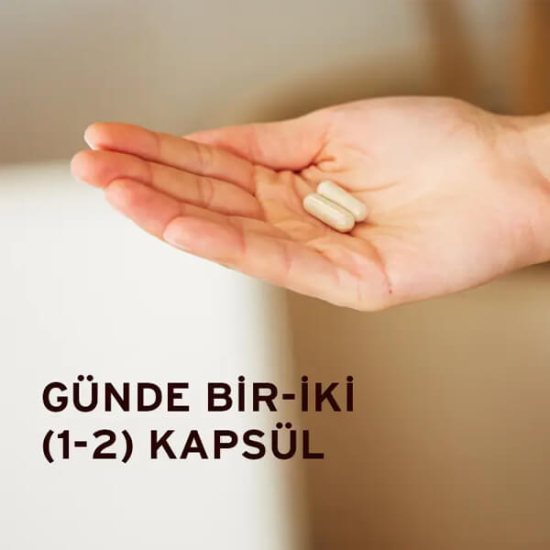 Solgar Ester C Plus 500 Mg 50 Tablet - 3