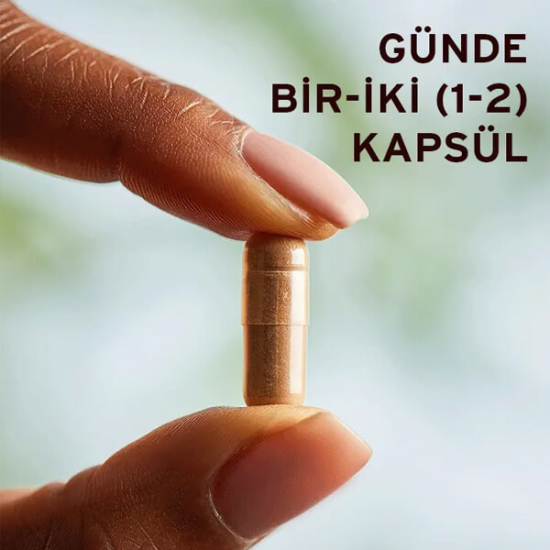 Solgar Green Tea Leaf Extract 60 Kapsül - 3