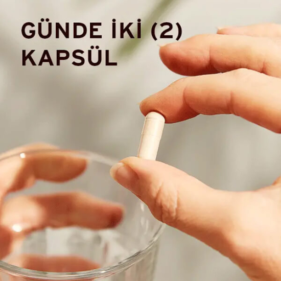 Solgar Psyllium Husks Fibre 200 Kapsül - 3