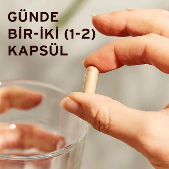 Solgar Reishi Shiitake Maitake Mushroom Extract 50 Kapsül - 3