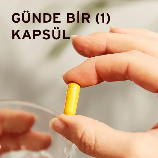 Solgar Turmeric Extract 60 Vegetable Capsules - 3