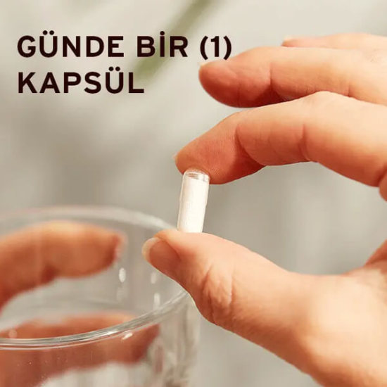 Solgar Zinc Picolinate 15 mg 100 Tablet - 3