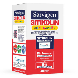 Sorvagen Smart Mini Sitikolin DHA Omega 3 ve B12 60 Kapsül - Sorvagen