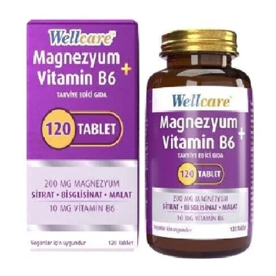 Wellcare Magnezyum Vitamin B6 120 Tablet - 1