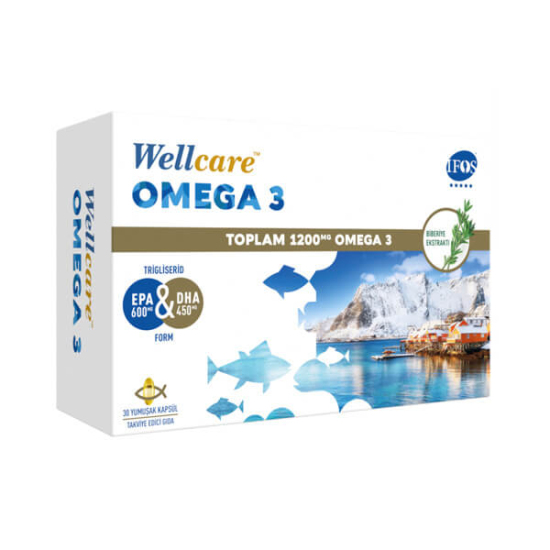 Wellcare Omega 3 1200 mg 30 Kapsül - 1